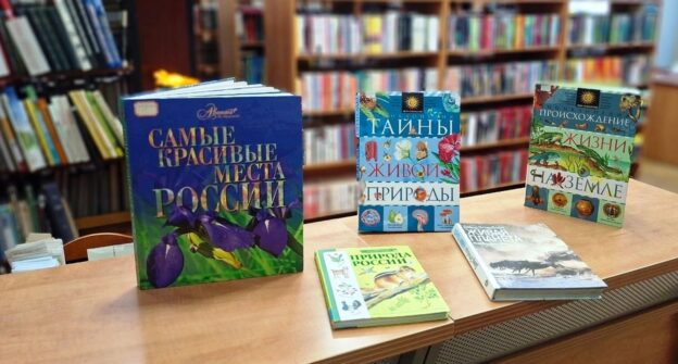 Игра «Любить. Ценить. Охранять» 12+