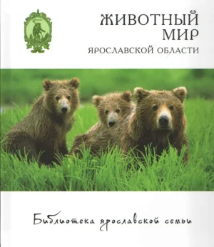 Мастерская "Я-САМ" 6+