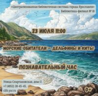 «Морские обитатели — дельфины и киты». Библиодайвинг 0+