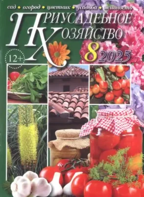 Встреча ветеранов Ленинского района - участников любительского объединения «ВМЕСТЕ»