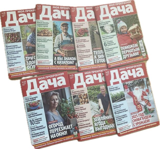 Встреча ветеранов Ленинского района — участников любительского объединения «ВМЕСТЕ»