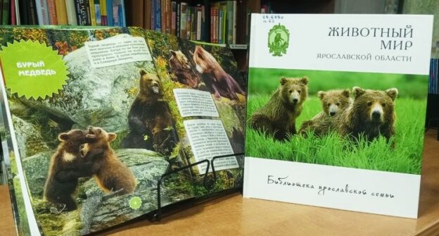 Программа «Косолапое братство» 6+