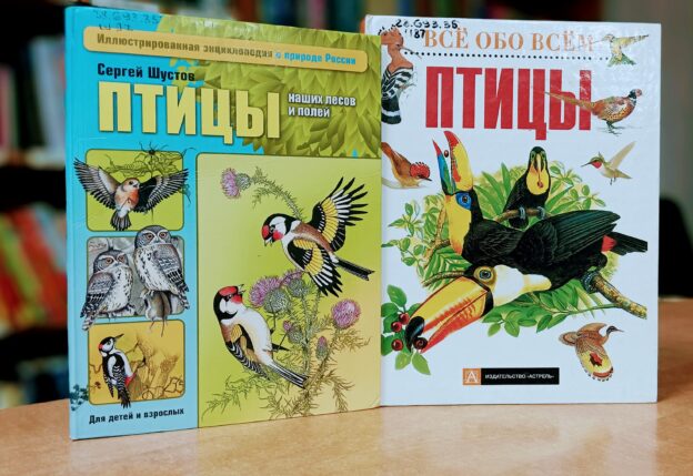 Познавательная программа 0+