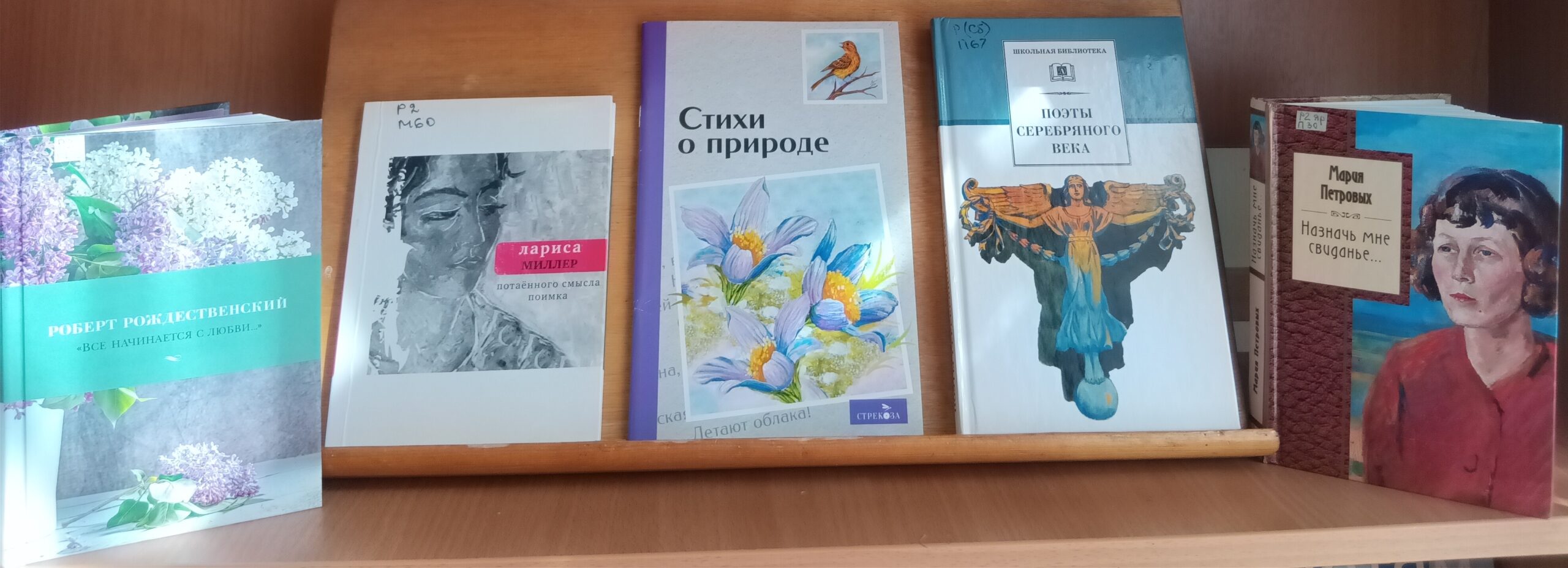 Книжная выставка «Поэзия мая»