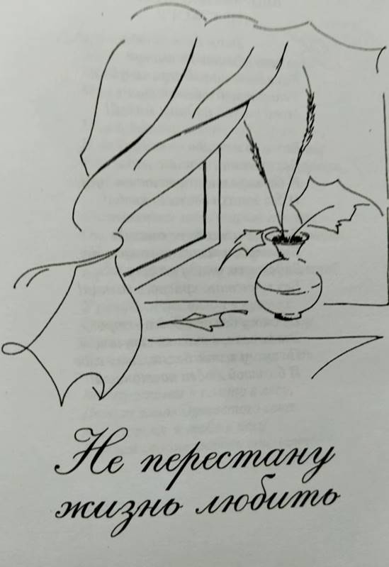 (без названия)