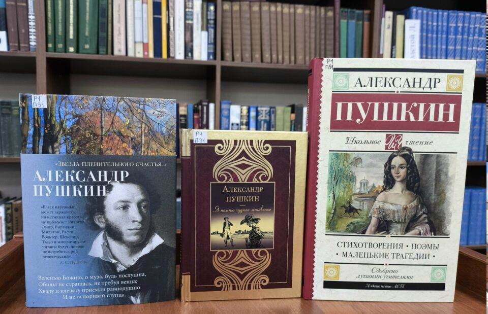 Книжно-иллюстративная выставка «Солнце русской поэзии»