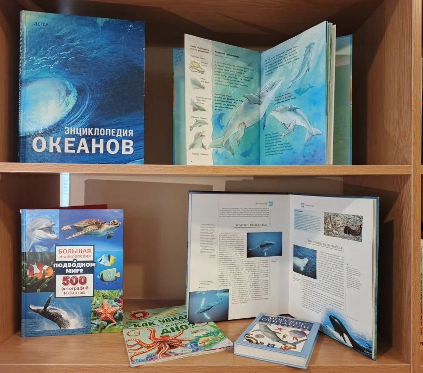 Экологический час ко Всемирному дню китов и дельфинов