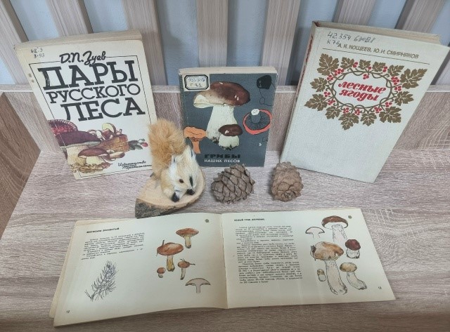 Квиз «Съедобное – несъедобное»